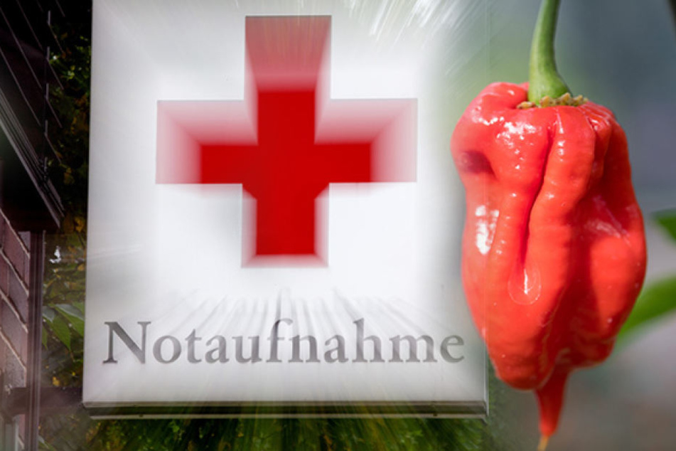 Das Passiert Wenn Man Die Scharfste Chilischote Der Welt Isst