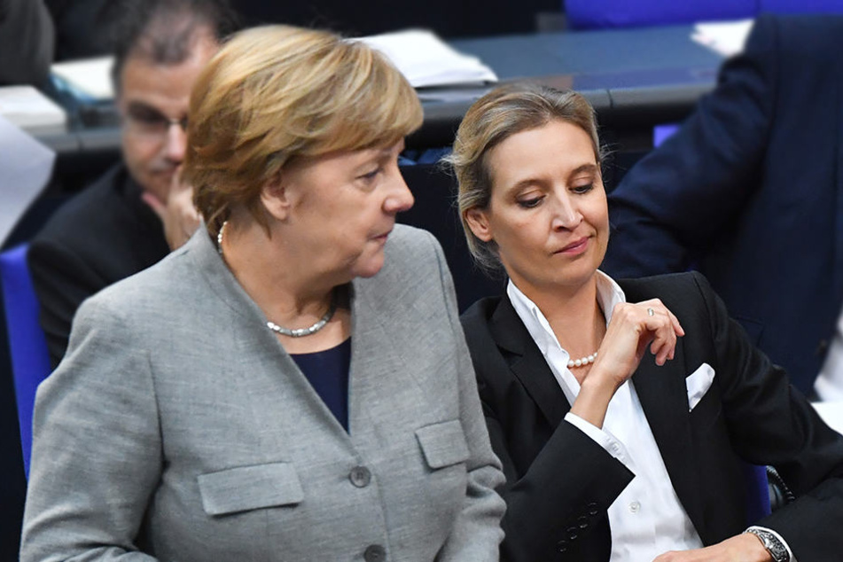 AfD-Bedingung: Angela Merkel (CDU) soll nicht Kanzlerin sein.