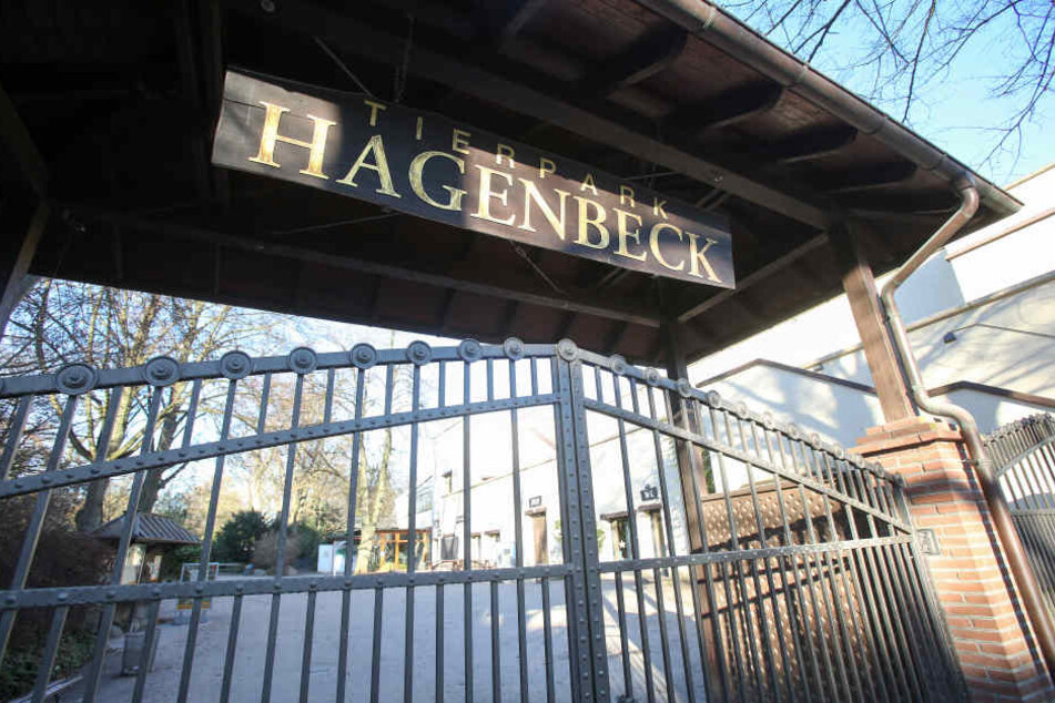 Die Tierpark Hagenbeck ist wegen Vogelgrippe derzeit geschlossen.