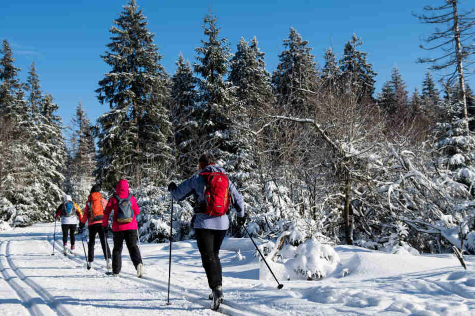 Zahlreiche Loipen in den sächsischen Wintersportgebieten sind derzeit nur eingeschränkt befahrbar.
