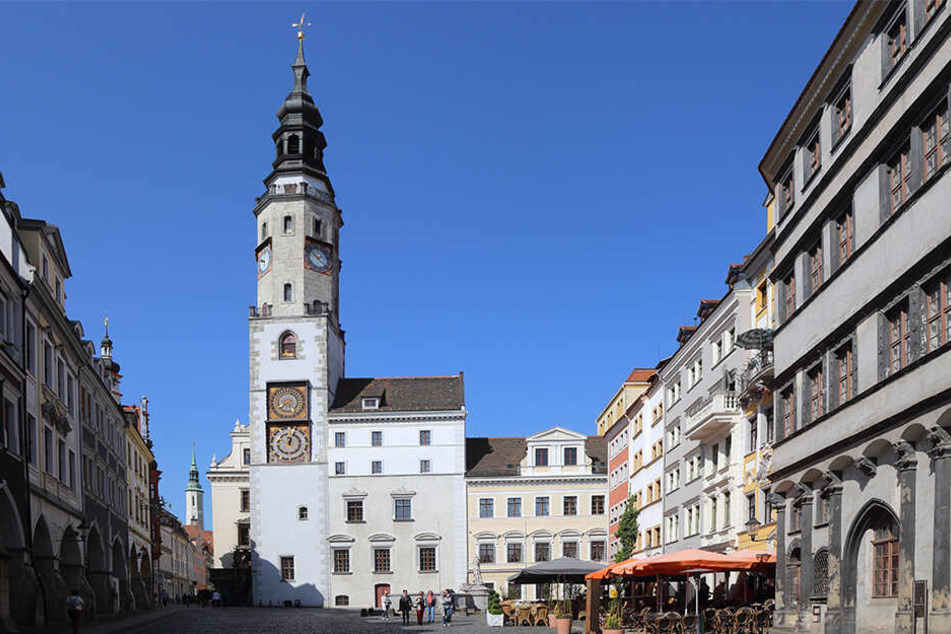 Wer erobert den Chefsessel im Görlitzer Rathaus? Das Kandidaten-Rennen wird sachsenweit gespannt verfolgt.