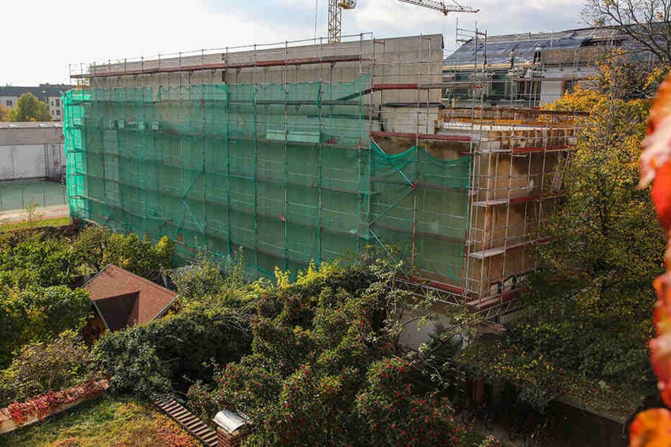 Passt das ins Viertel? Die Brandwand (rund 40 Meter lang) gehört zum Wohnhaus, das an der Seifhennersdorfer Straße gebaut wird.