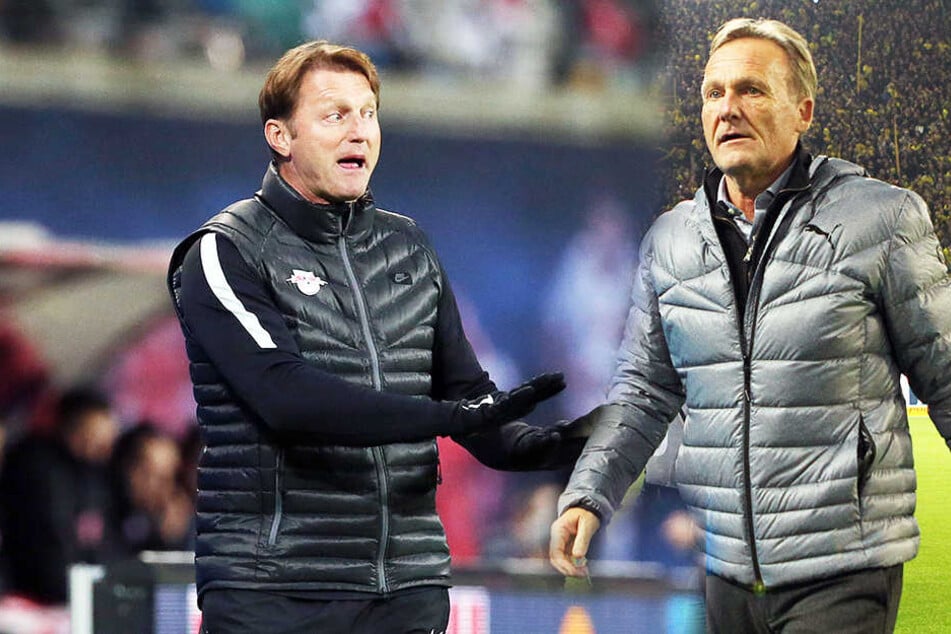 Ralph Hasenhüttl (l.) reagierte direkt auf die Kritik von Dortmund Bass Watzke (r.)