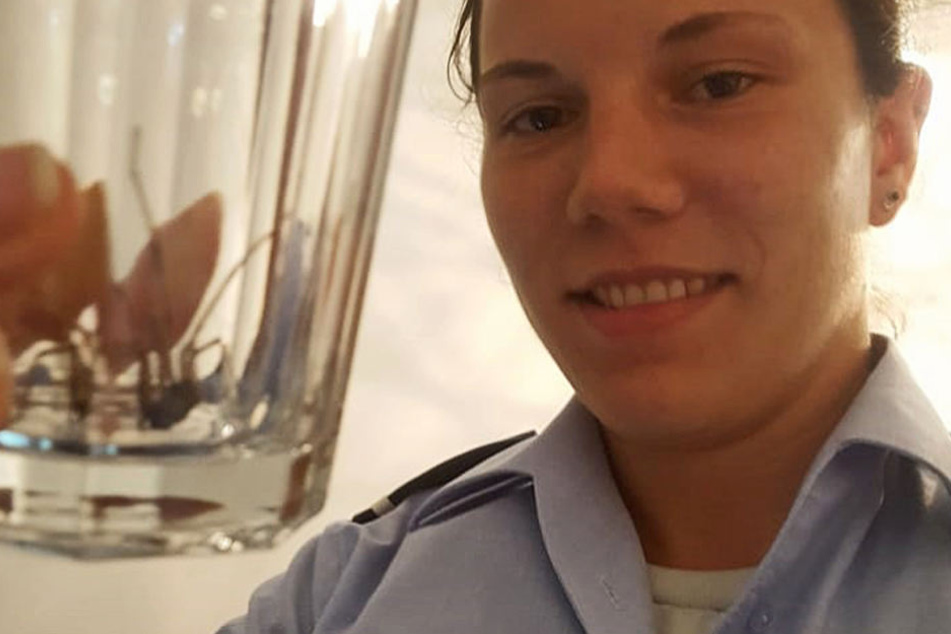 Dass diese harmlose Spinne einmal für Aufregung sorgen würde, hätte wohl keiner gedacht.