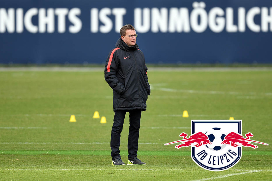 Rangnick hat sein Amt in Salzburg niedergelegt. Erfüllt RB Leipzig somit alle Bedingungen für eine Teilnahme an der Champions League?