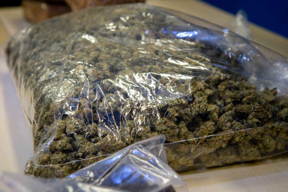 Insgesamt lagerten die beiden Männer 13 Kilo Marihuana und vier kilo Amphetamine