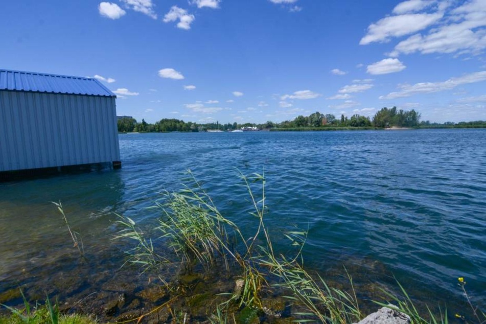 Die Tote aus dem Neustädter See in Magdeburg ist identifiziert worden. (Archivbild)