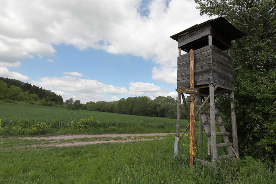 Die Zahl der Jäger ist im Landkreis Sächsische Schweiz-Osterzgebirge gestiegen.