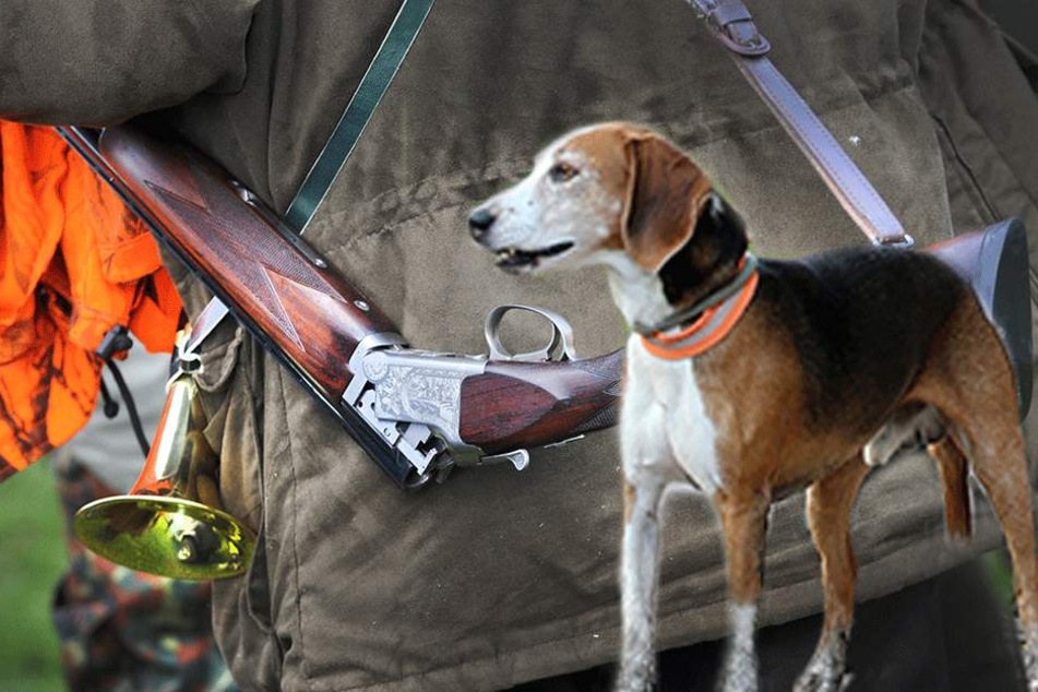 Als der Hund neben dem Gewehr rumtobt, löst sich ein Schuss (Symbolfoto)