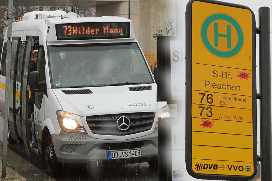 Anfang Januar geht die neue Buslinie 73 mit einem Kleinbus in den Testbetrieb.
