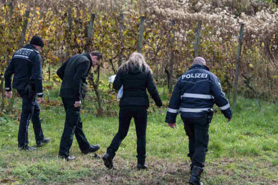 Die Polizei suchte im November das ganze Areal nach Spuren ab. Hinweise zum Täter wurden jedoch nicht gefunden.