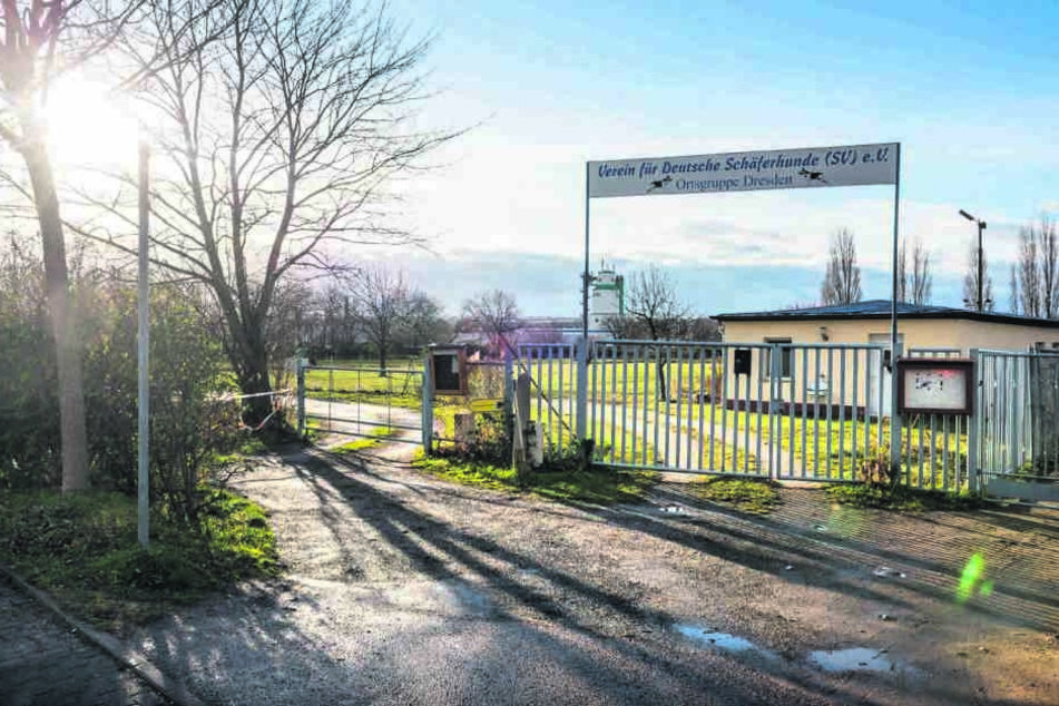 Die Hundeschule an der Washingtonstraße kann bleiben.