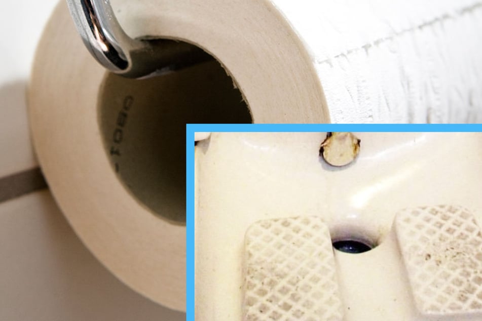 Zu den Besonderheiten einer solchen Toilette gehöre auch die Möglichkeit, "auf Toilettenpapier zu verzichten".