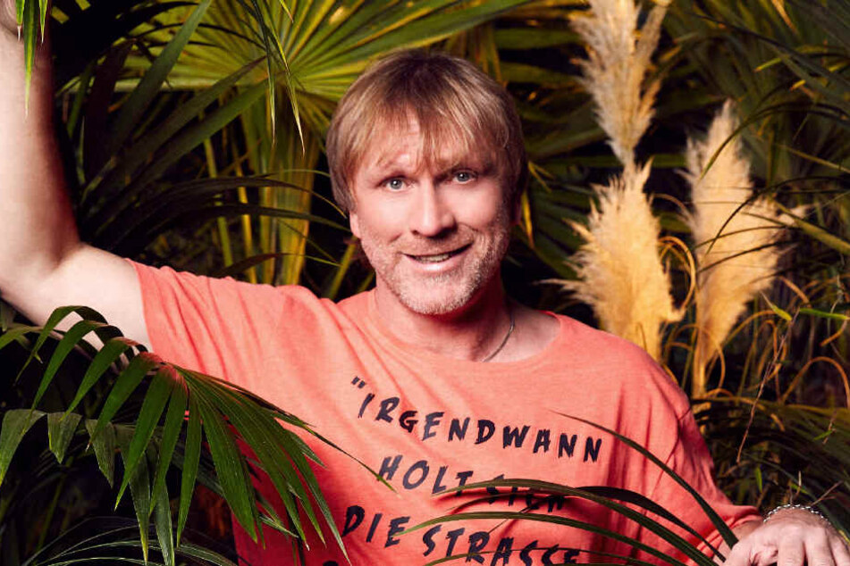 Im Dschungel trifft Ansgar Brinkmann auf elf andere Kandidaten, die er alle nicht kennt.