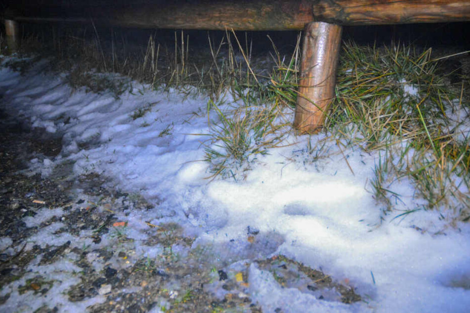 Am Montag lag an den Wegesrändern des Brocken zentimeterhoher Schnee. Vor einer Woche war es hier 20 Grad wärmer.