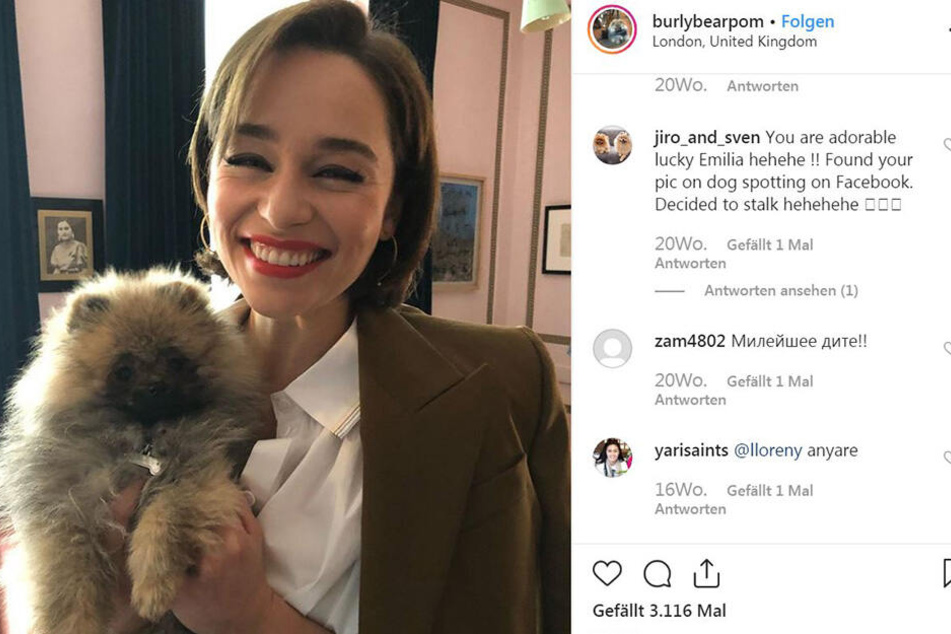 Emilia Clarke (32) ist auch auf diesem Foto, der Star ist aber jemand anderes...