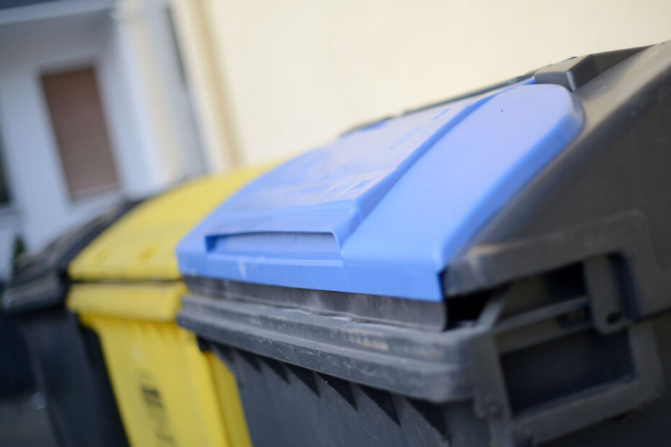 Wenn Lebensmittel aus dem Müllcontainern mitgenommen werden, ist das Diebstahl. (Symbolbild)