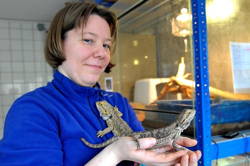 Tierpflegerin Melanie Oelschner (33) mit zwei Bartagamen.