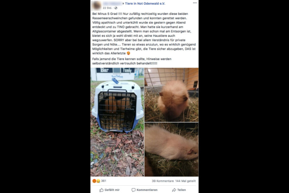 In einem Facebook-Post machte der Verein über das Drama aufmerksam.