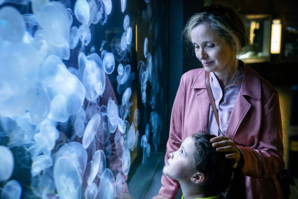 Isabelle Perrault (r., Julie Delpy) liebt ihre Tochter Zoe (Sophia Ally) über alles. Hier schauen sich die beiden Quallen im Berliner Aquarium an.