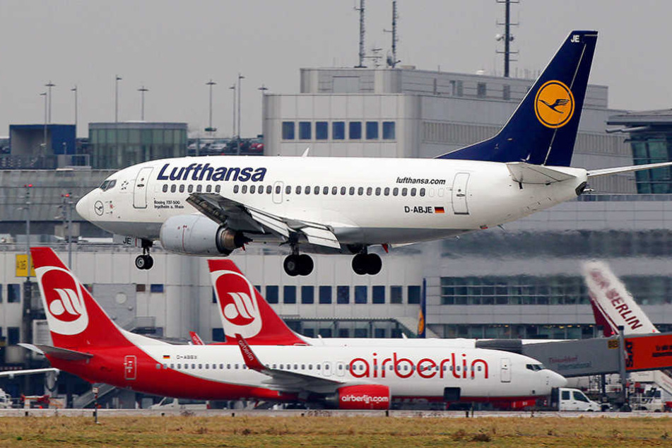 Lufthansa sticht damit unter anderem die Konkurrenten Eurowings und Easyjet aus.