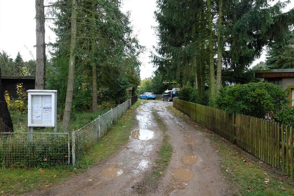 In einer Bungalow-Siedlung in Löbnitz eskalierte in der Nacht zu Donnerstag ein Streit, in dessen Folge scharf geschossen wurde.