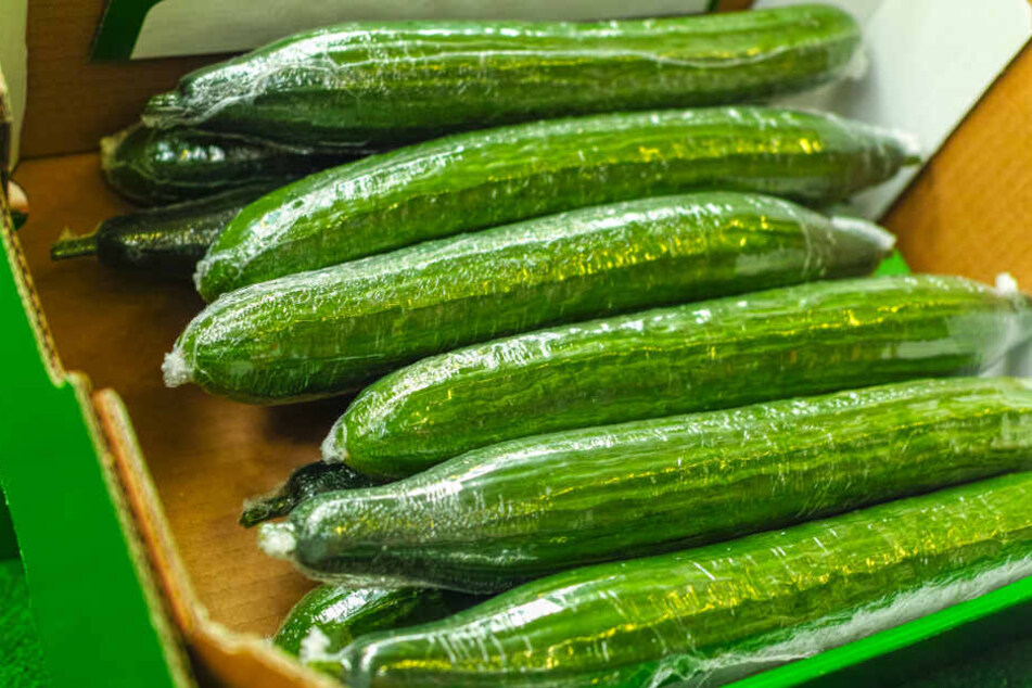 Gurken werden in vielen Supermärkten noch in Plastik eingepackt.