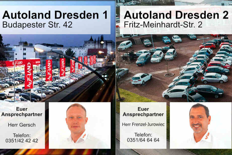 Eure Ansprechpartner in Dresden.