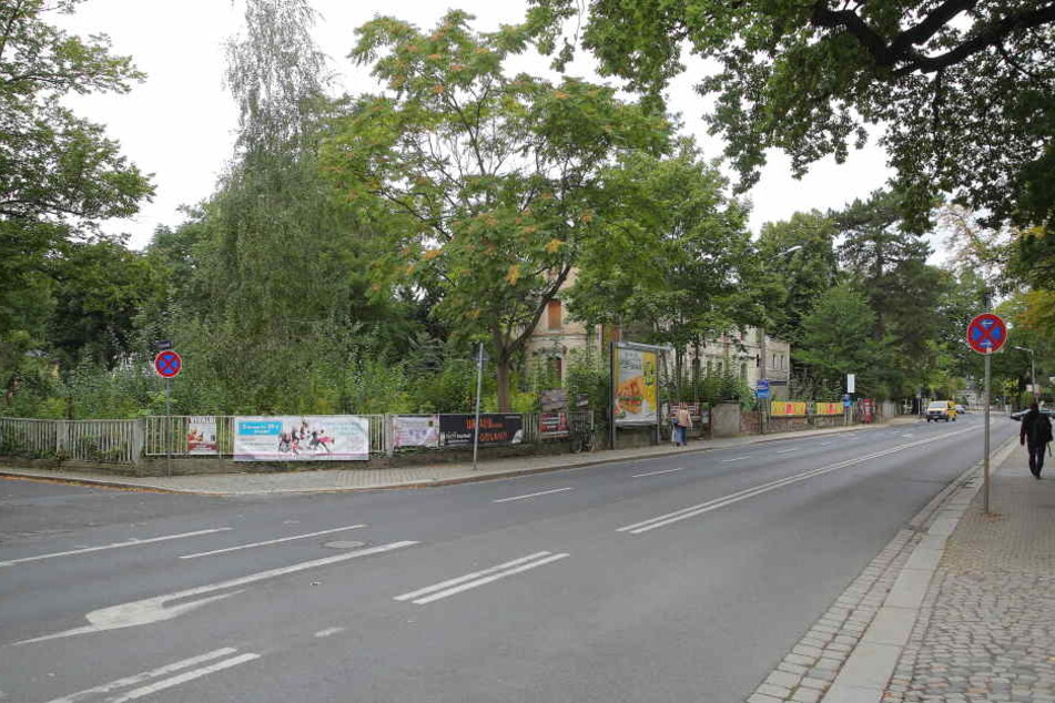 Noch wächst ein wilder Wald auf dem Areal. Die denkmalgeschützte Villa soll erhalten bleiben.