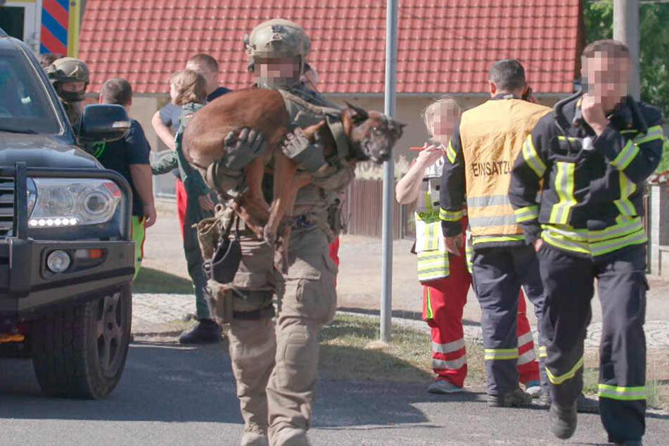 Schwer getroffen wurde der GSG 9-Vierbeiner sofort in eine Klinik gebracht.