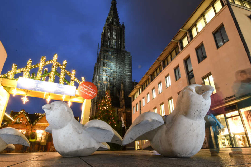 Die Spatzen vor dem Weihnachtsmarkt sind rund zwei Meter groß und zwei Tonnen schwer.