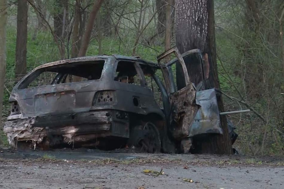 Der Fahrer prallte gegen einen Baum, das Auto brannte aus. (Symbolfoto)