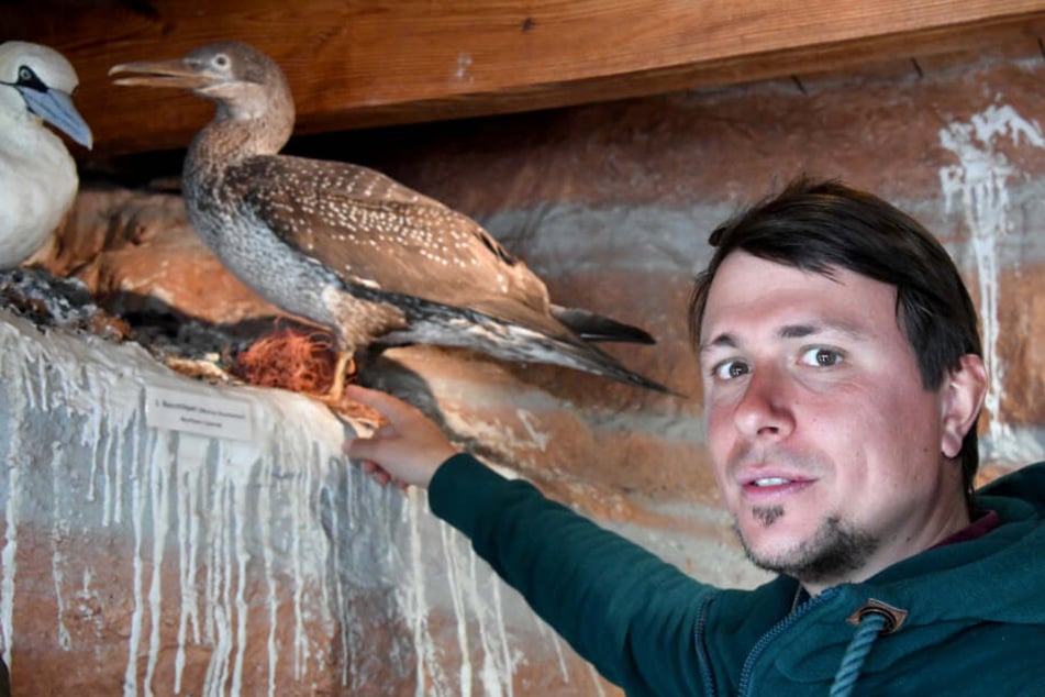 Elmar Ballstaedt ist Schutzgebietsbetreuer auf Helgoland.