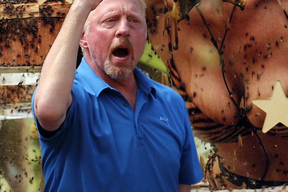 Tennis-Legende Boris Becker (47) im Dschungelcamp. "In 100 Jahren nicht".