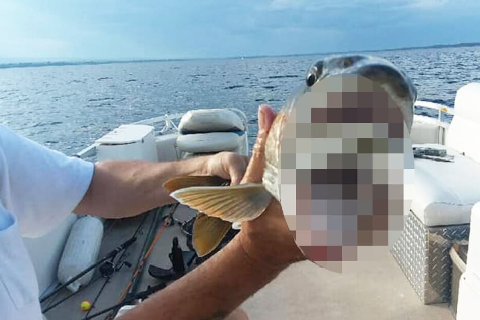 Was stimmte nicht mit diesem Fisch?