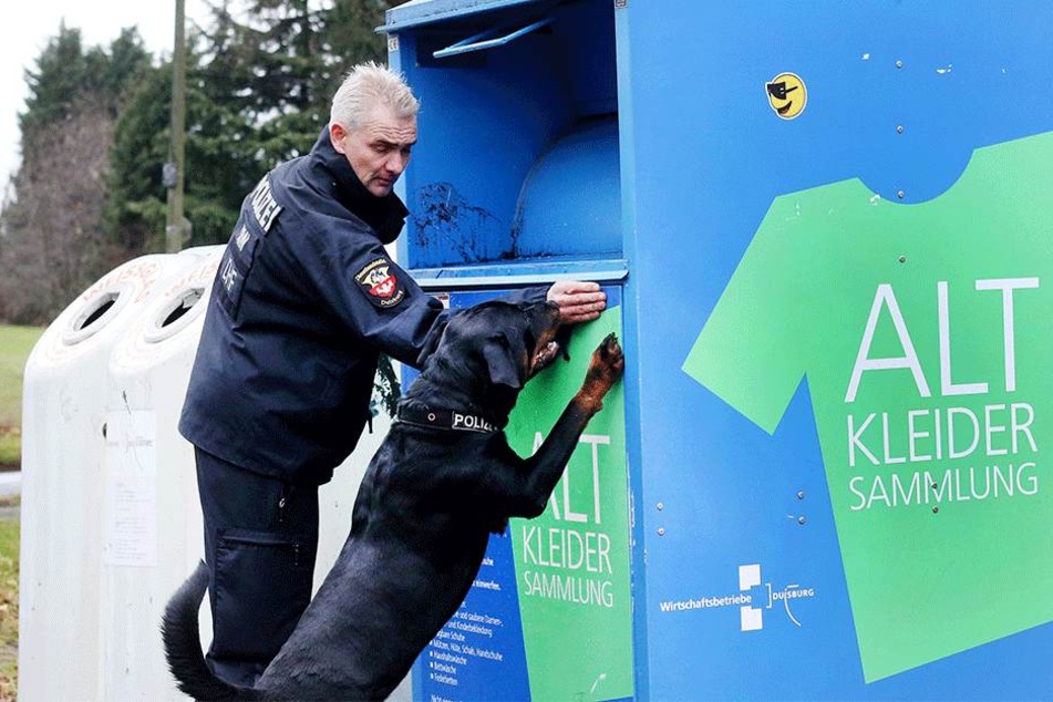 Polizeispürhund "Amigo" und ein Polizeihundeführer suchten nach Spuren an einem Altkleidercontainer.