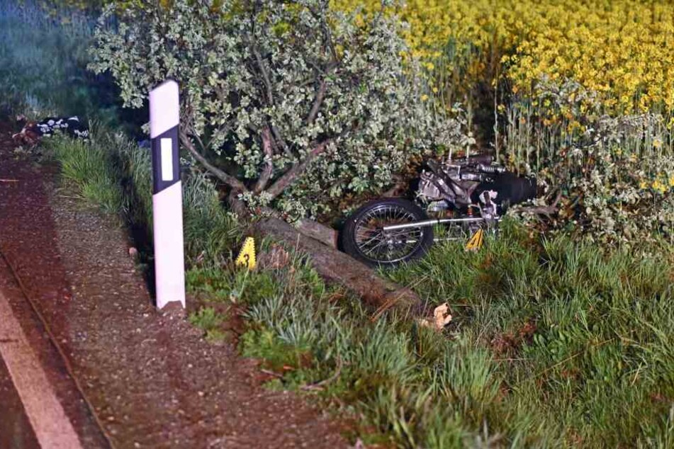Das Motorrad fällte bei dem Unfall einen kleinen Baum.