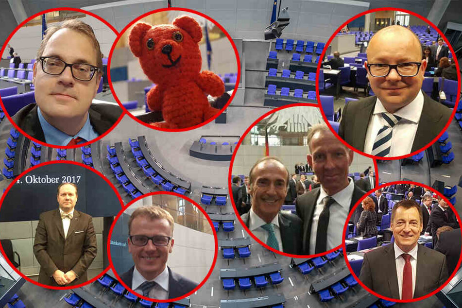 Die Neuen im Parlament (im Uhrzeigersinn): Frank Müller-Rosentritt (FDP), Jens Lehmann (CDU), Torsten Herbst (FDP), Alexander Krauß (CDU), Siegbert Droese (AfD), Sören Pellmann und sein Roter Bär (Die Linke).