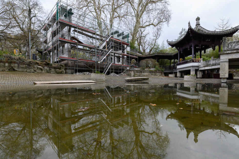 Der Pavillon soll im Herbst wiedereröffnet werden.