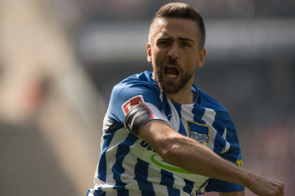 Vedad Ibisevic warnt vor zu großen Erwartungen.