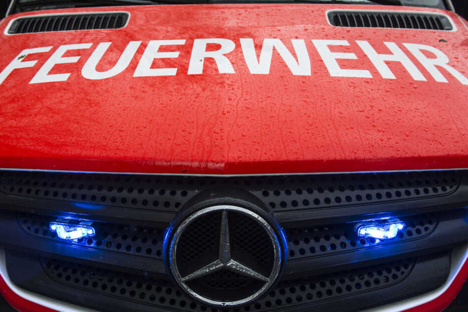 Zu gleich fünf großen Einsätzen mussten die Beamten der Hamburger Feuerwehren in nur einer Nacht ausrücken!