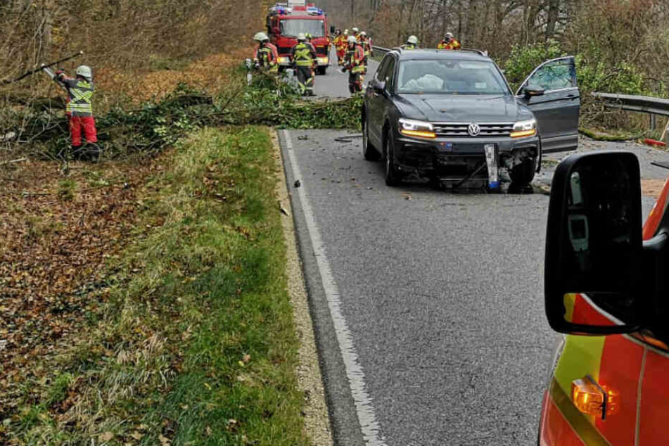 Baum fällt direkt vor fahrenden SUV: Unfassbares Glück trotz Crash