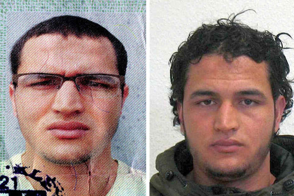 Die damaligen Fahndungsfotos von Anis Amri: Auch mehr als fünf Monate nach dem Anschlag auf einen Weihnachtsmarkt in Berlin am Breitscheidplatz laufen die Ermittlungen auf Hochtouren.
