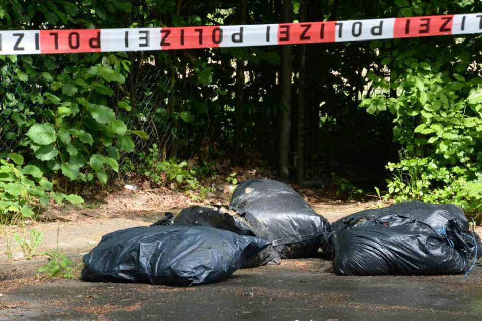 Mehrere Säcke Schlachtabfälle befanden sich in dem Container.