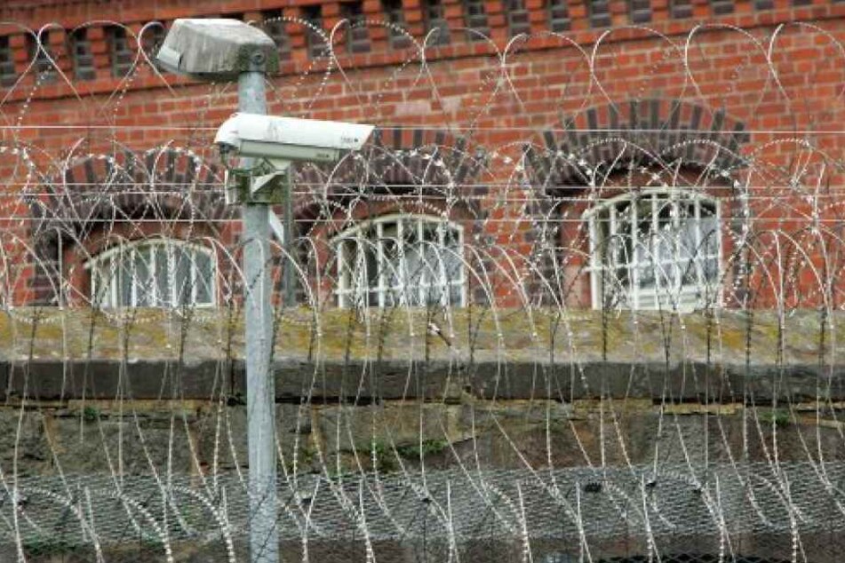 Sein wackeliger Gang könnte am Ende der ausschlaggebende Grund gewesen sein, dass seine Tarnung auffiel. (Symbolbild)