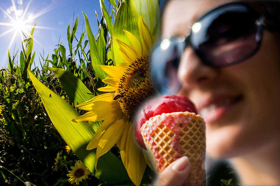 Schnell sein, sonst ist das Eis geschmolzen. (Bildmontage)