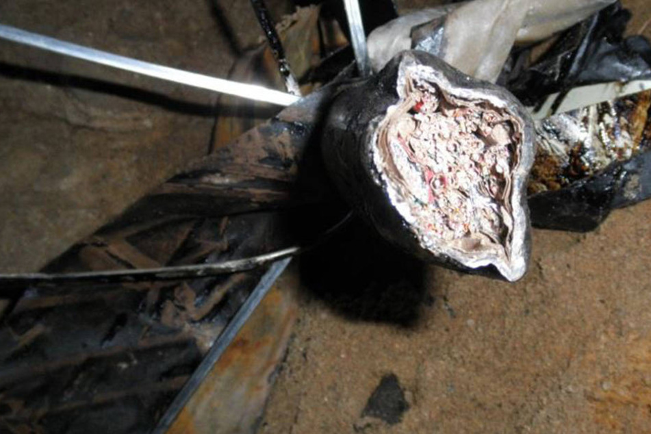 Ein zerstörtes Kabel bringt den Zugverkehr im Dresdner Raum zum Erliegen.