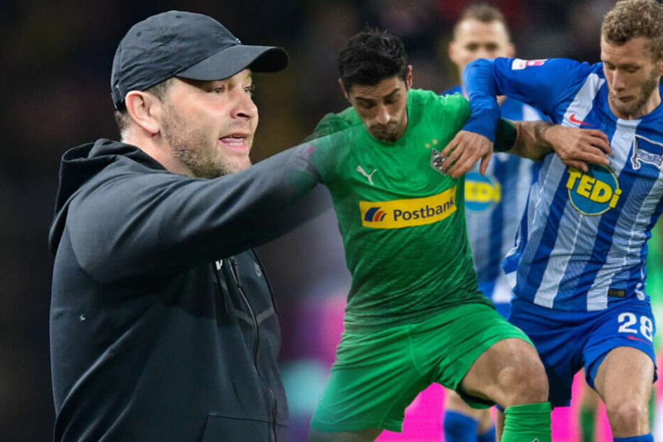 Pal Dardai muss wochenlang auf Fabian Lustenberger verzichten. (Bildmontage)