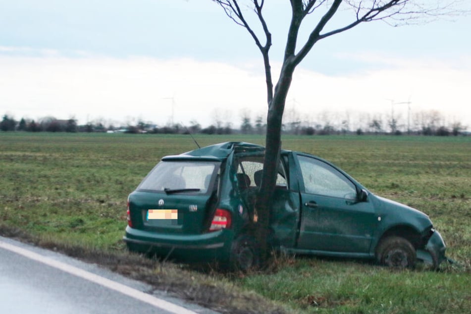 Der Wagen kam nach rechts von der Fahrbahn ab und krachte gegen einen Baum.