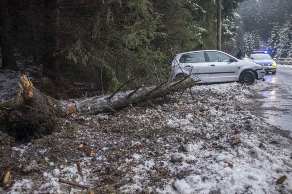 Bei dem Unfall wurde eine Fichte entwurzelt, die dann auf das Auto fiel.